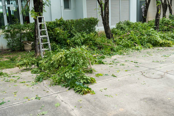 Mulching Services in Chester, SC